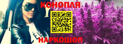 прущие грибы Дубна