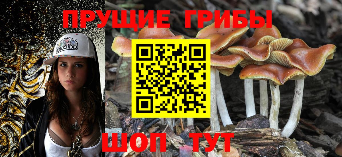 Псилоцибиновые грибы GOLDEN TEACHER Малоярославец